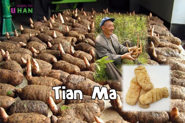 thiên ma