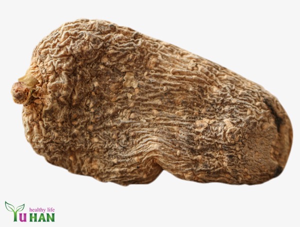 thiên ma hàn quốc