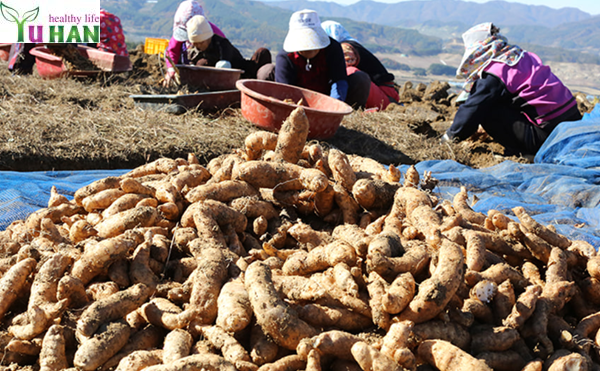 bệnh tê bại chân tay