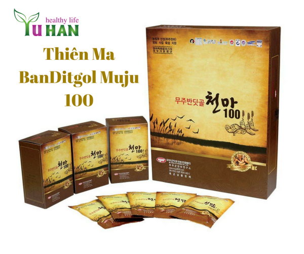 củ thiên ma chữa bệnh gì