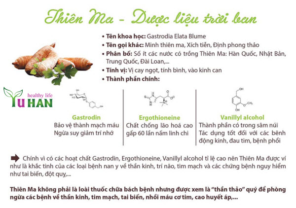 tác dụng của thiên ma Hàn Quốc