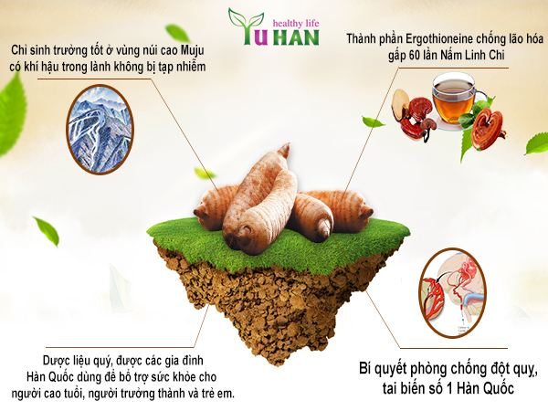 đột quỵ và tăng huyết áp