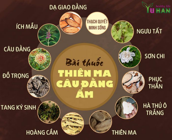 cách dùng củ thiên ma