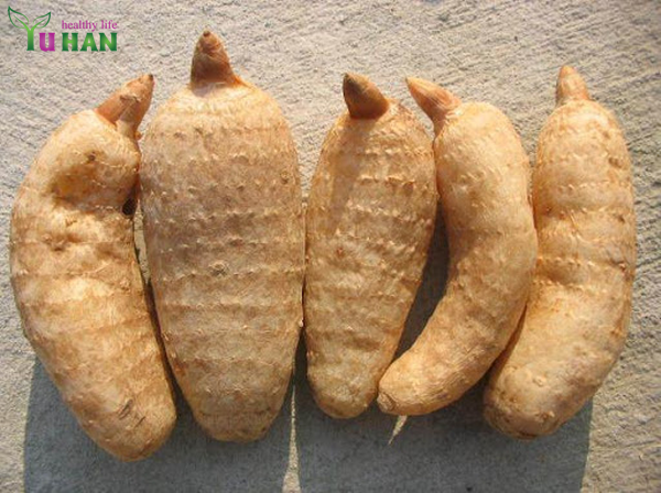 sản phẩm thiên ma Hàn Quốc