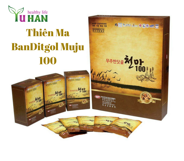 tác dụng củ thiên ma