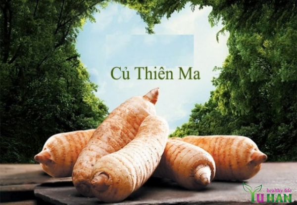 tác dụng của thiên ma hàn quốc