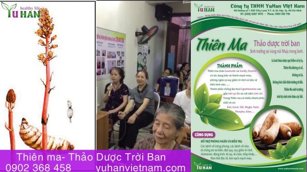 Thiên ma Hàn Quốc