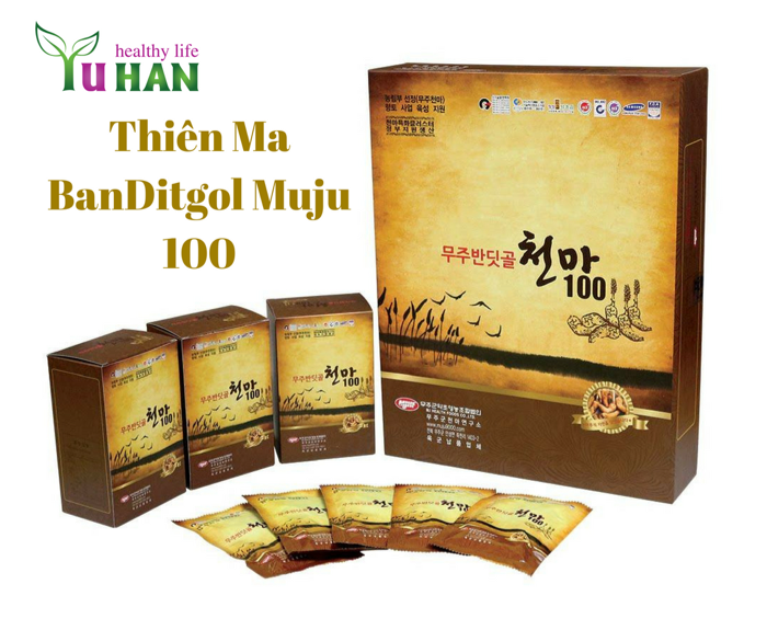 bệnh lý tai biến mạch máu não 