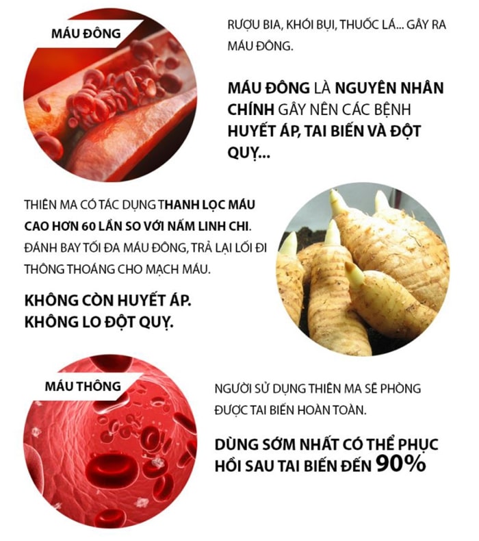 cách sử dụng thiên ma đơn