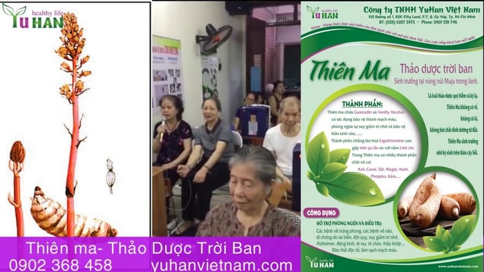 cách sử dụng thiên ma đơn