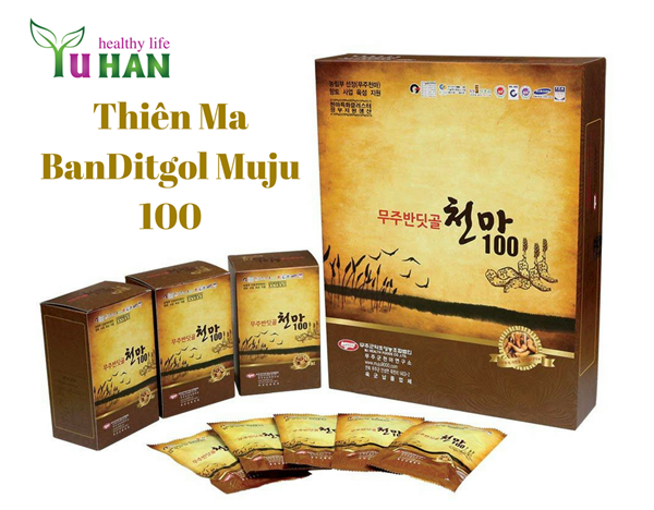 củ thiên ma ngâm rượu