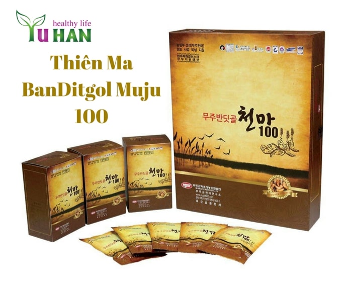 Đông y chữa tai biến mạch máu não