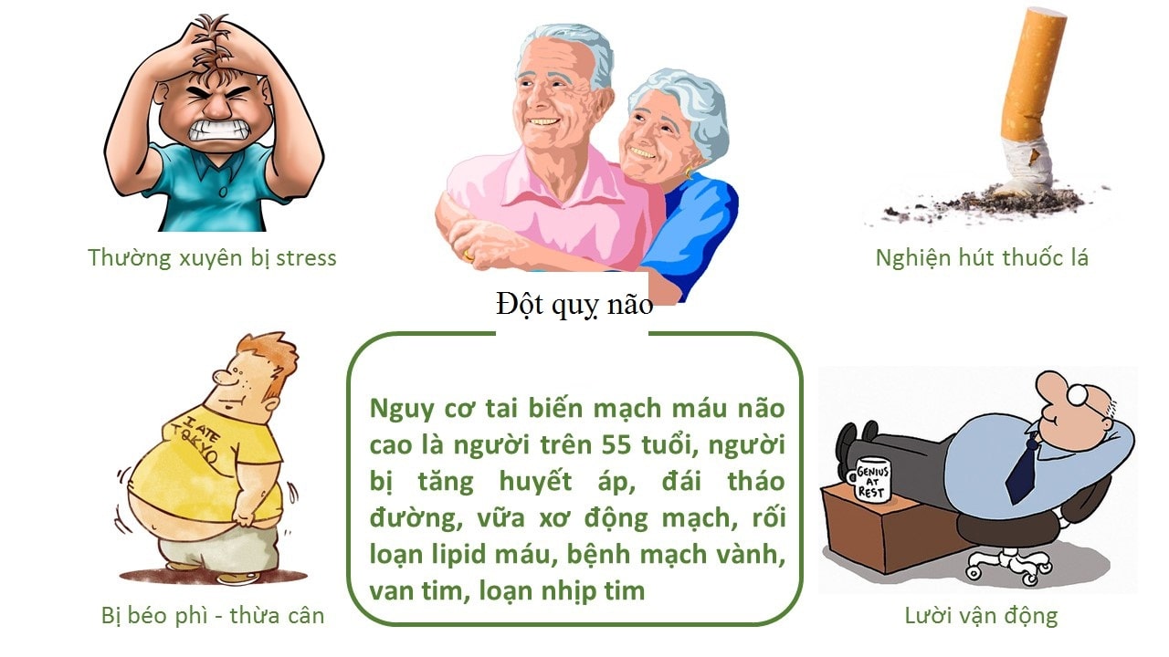 nguyên nhân gây ra tai biến mạch máu não