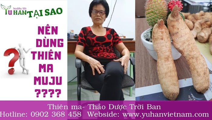 thiên ma đơn tam cực